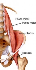 Iliopsoas-muscle stretches