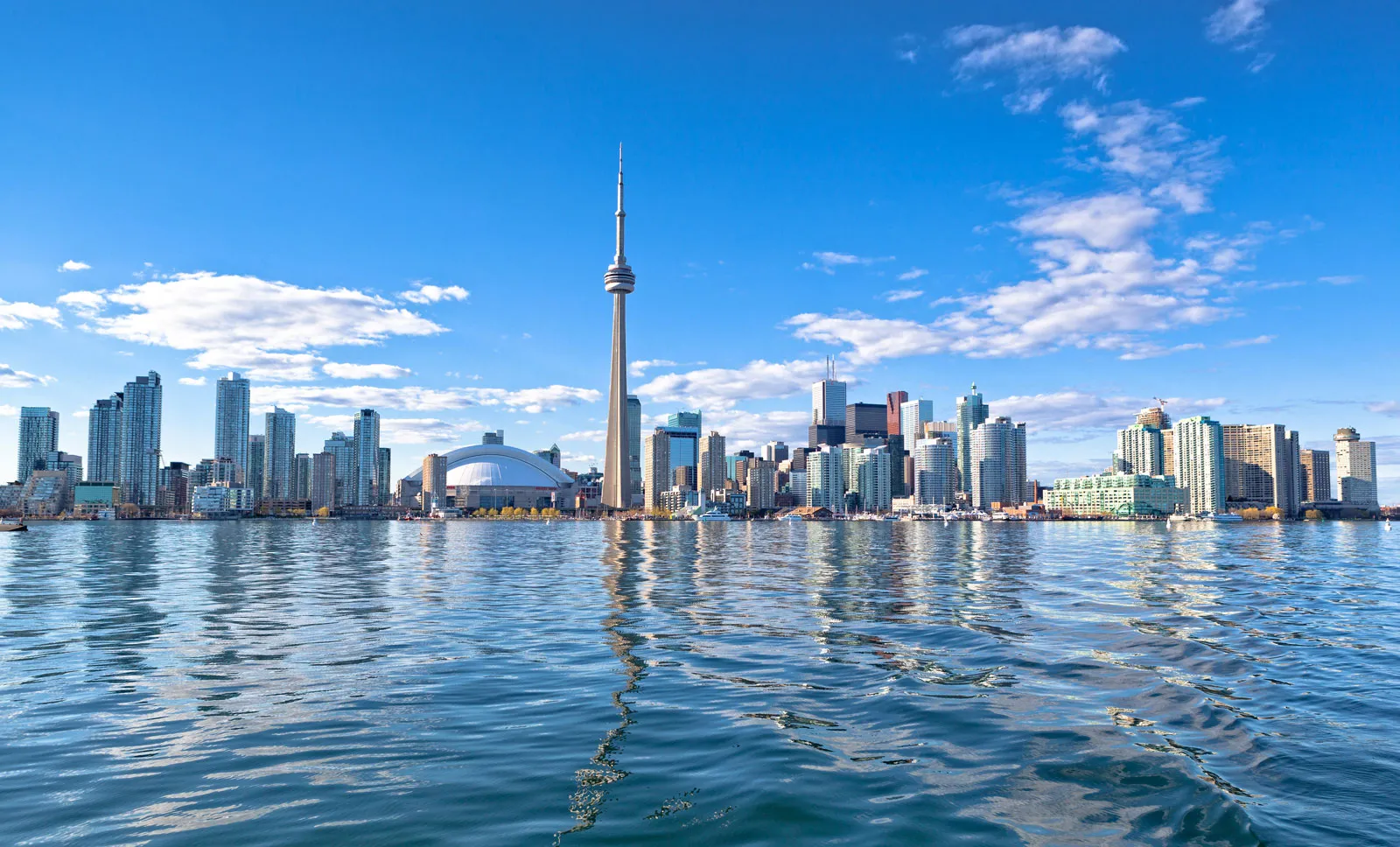 Toronto Consulting