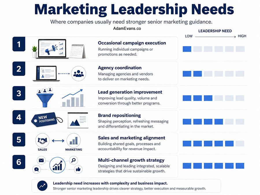 CMO Marketing Leadership Needs