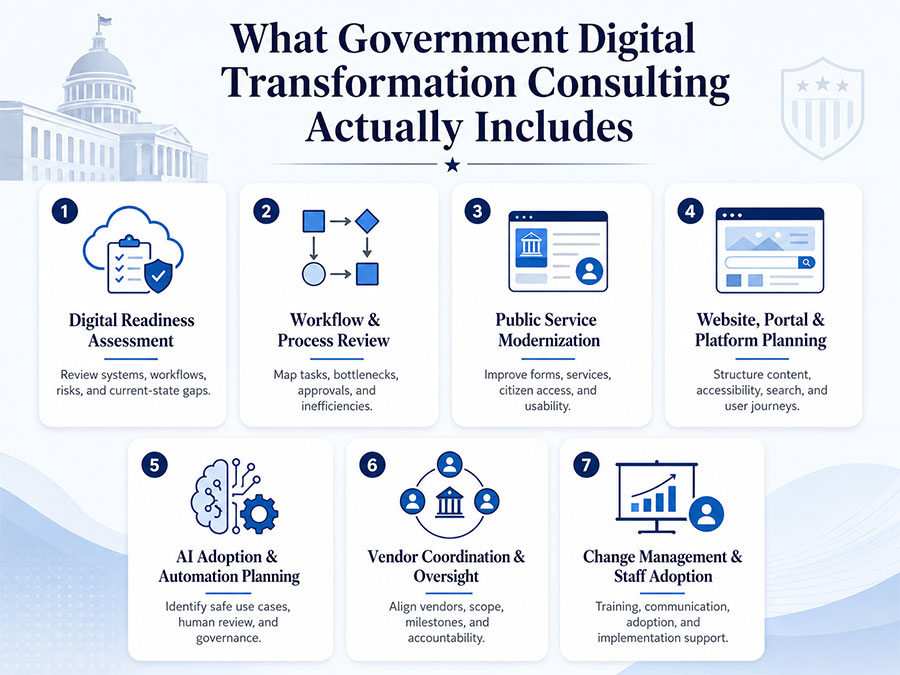 Government Digital Transformation Consultant