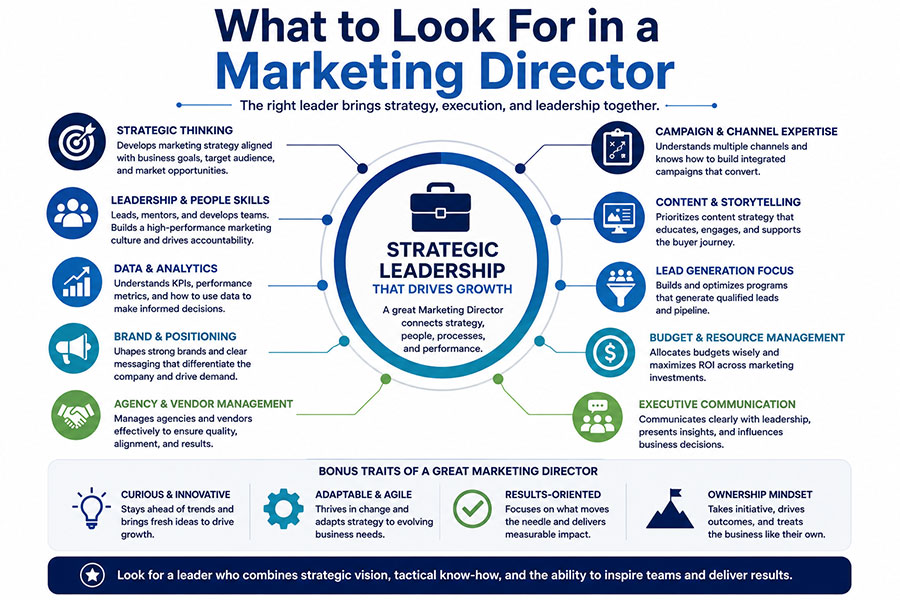 What to Look for in a Marketing Director